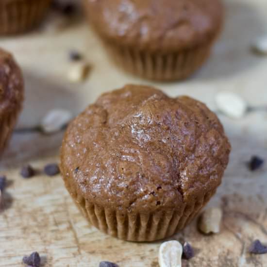 Chocolate PB Protein Muffins