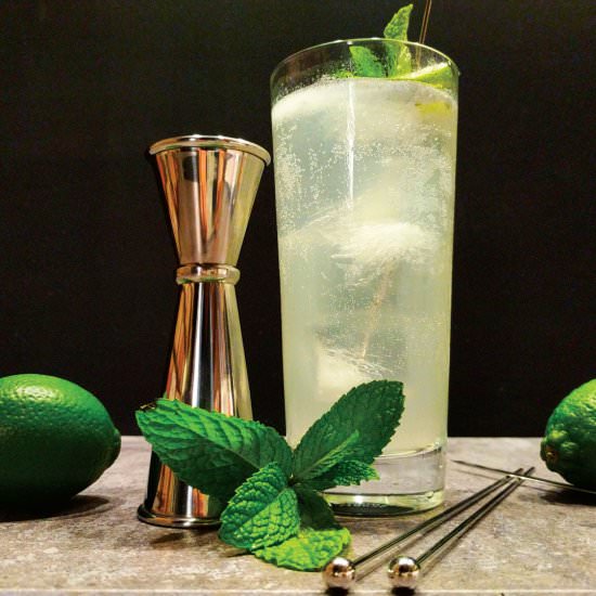 The Classic Mojito