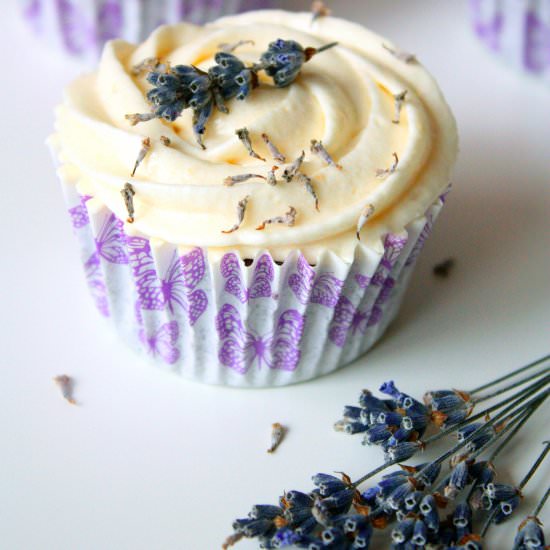 Lavender cupcake honey frosting