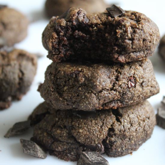 Double Chocolate Peppermint Cookies