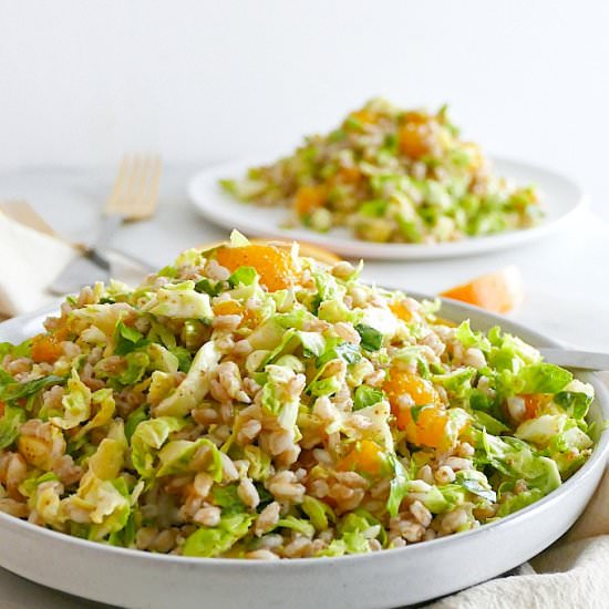 Winter Brussels and Farro Salad
