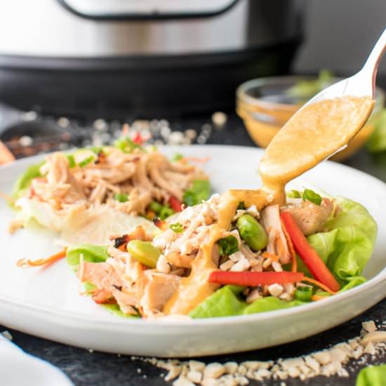 Instant Pot Pad Thai Chicken Wraps