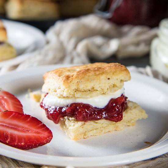 Classic Cream Scones