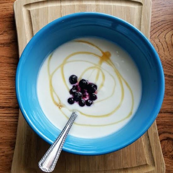 Crockpot Honey Vanilla Yogurt