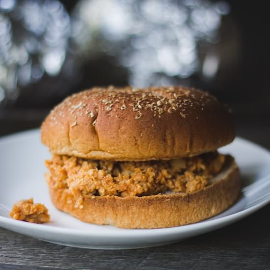 Campfire TPV Sloppy Joe Onion Bombs
