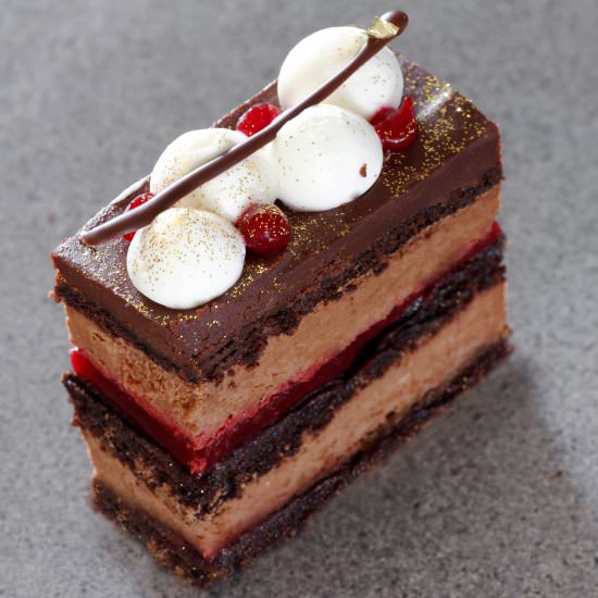 Chocolate Raspberry Entremet