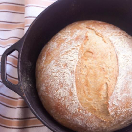 Cast Iron Pot No Knead Bread