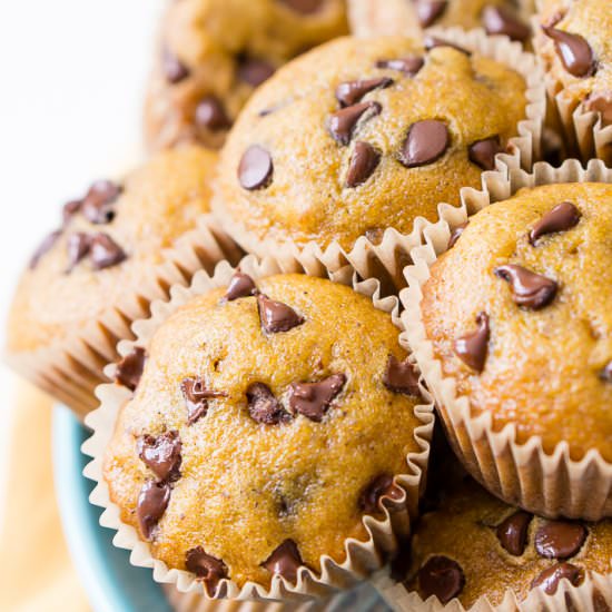 Pumpkin Chocolate Chip Muffins