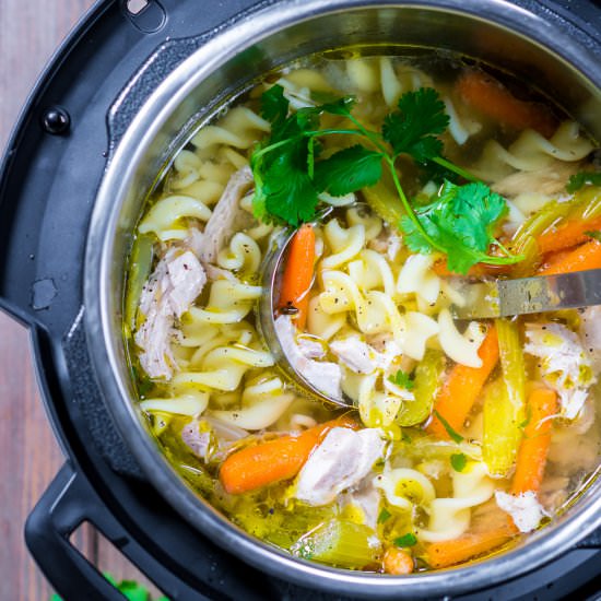 Instant Pot Chicken Noodle Soup
