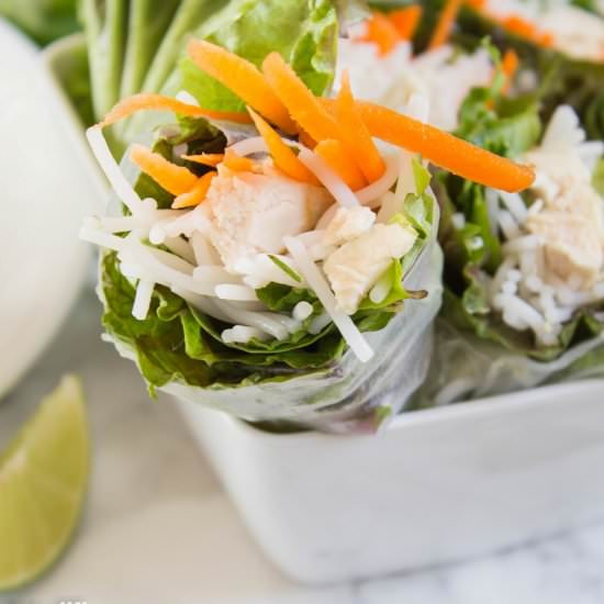 Chicken Spring Rolls