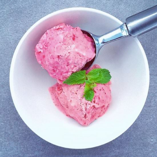 Mint Berry Frozen Yogurt