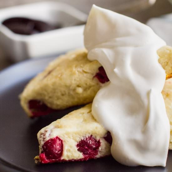 White Chocolate Cranberry Scones
