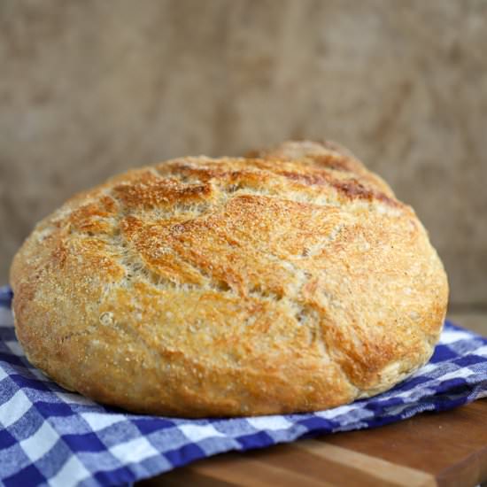 Knead Not Sourdough Bread