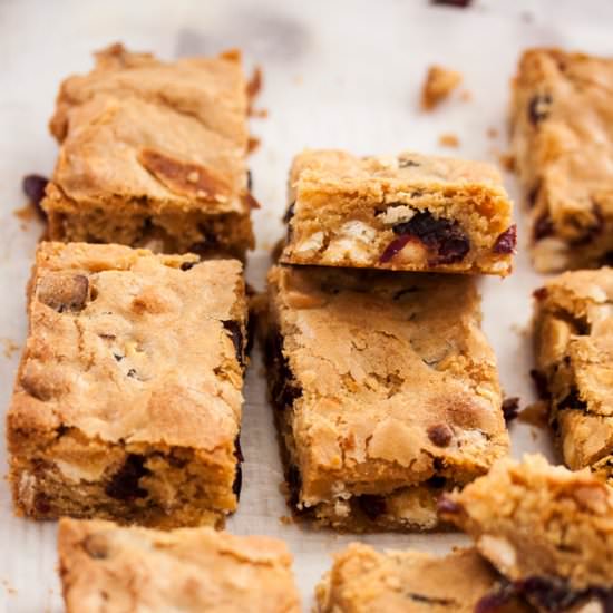 Cranberry White Chocolate Blondies