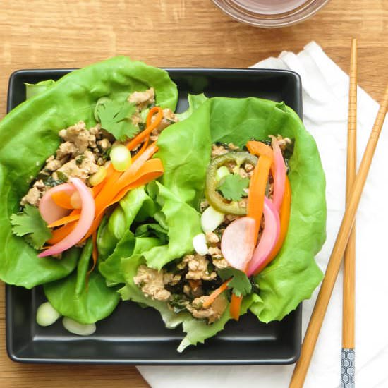 Asian Turkey Lettuce Wraps