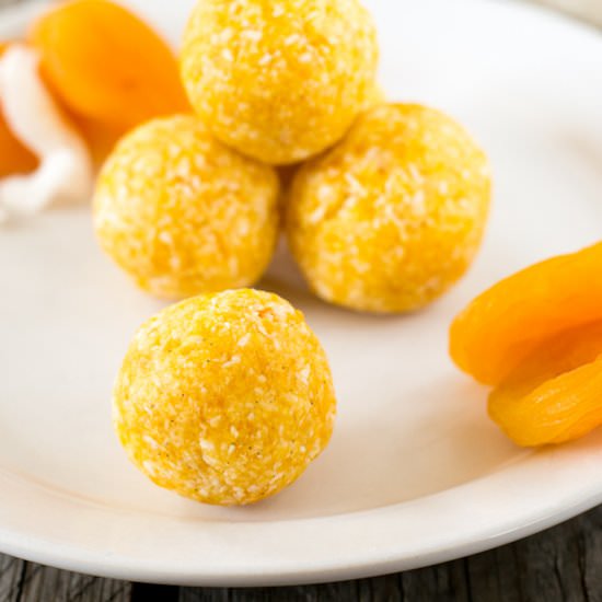 Coconut Apricot Bites
