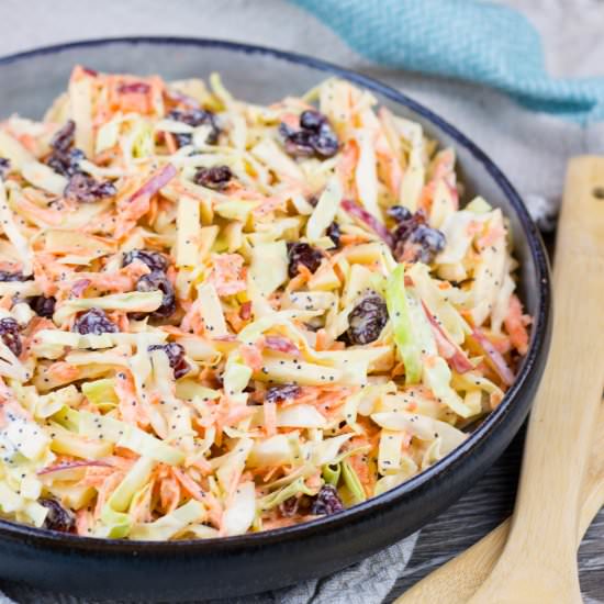 Apple Cranberry Coleslaw