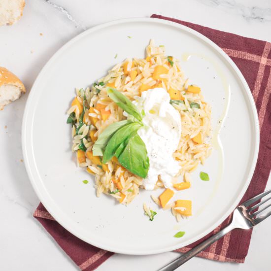 pumpkin orzo with burrata and basil