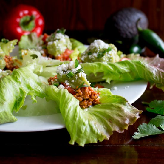 Best Turkey Lettuce Wraps