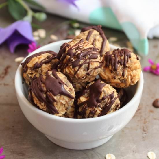 Salted Caramel Chia Oat Bites
