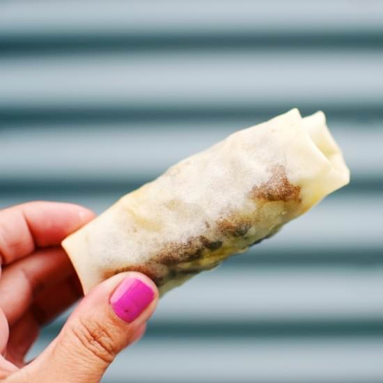 CHEESEBURGER SPRING ROLLS