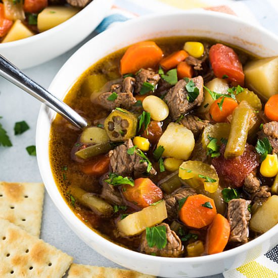 vegetable beef soup