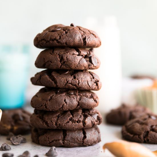 Chocolate Peanut Butter Cookies