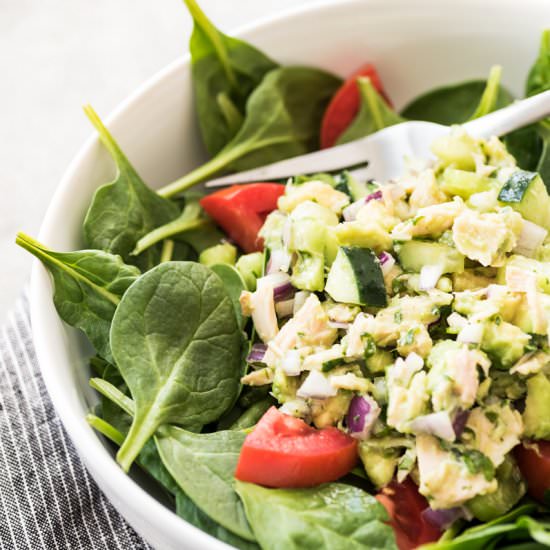 Mexican Avocado Tuna Salad