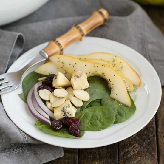 Spinach Pear Salad with Cranberries