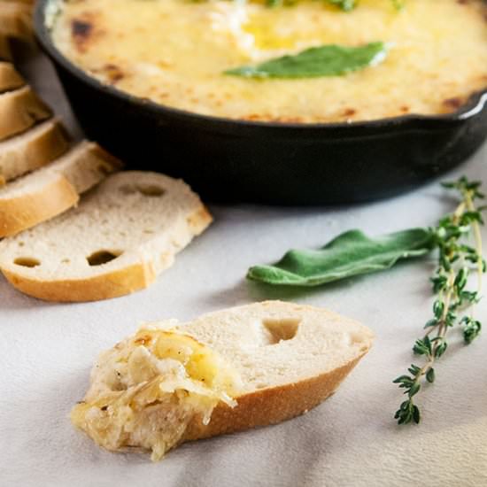 Caramelized Onion Cheese Dip