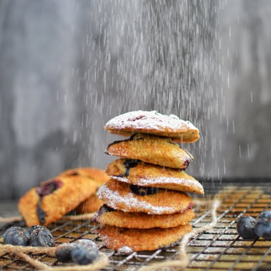 Oat blueberry cookies