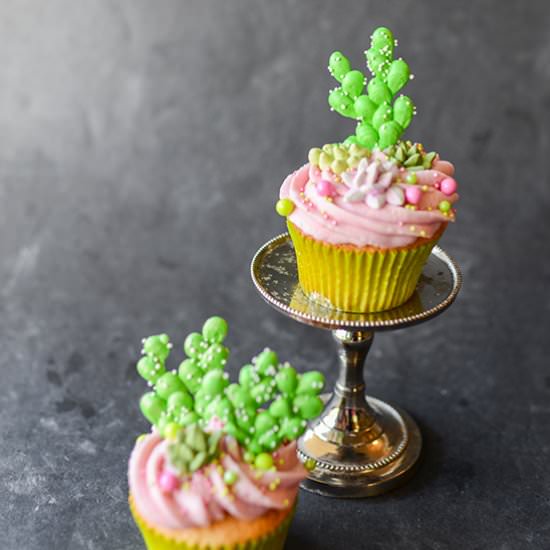Prickly Pear Cupcakes & Icing