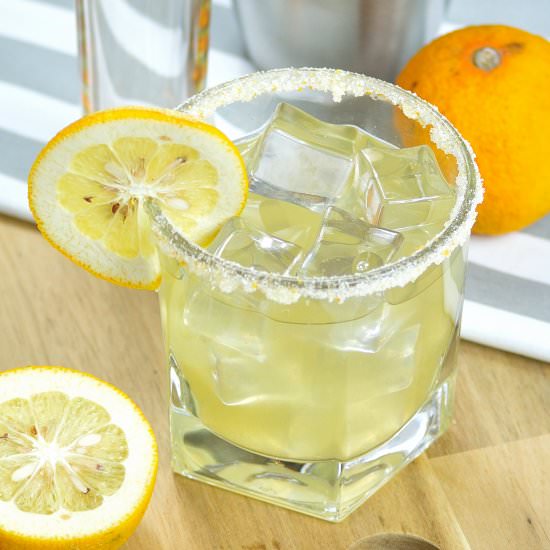 Seville Orange Margarita