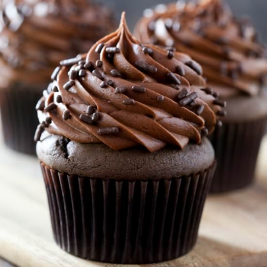 Chocolate cupcakes