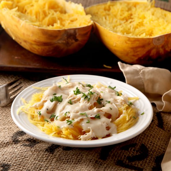 Spaghetti Squash Chicken Alfredo