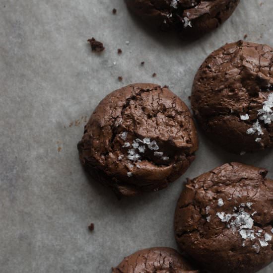 chocolate olive oil cookies