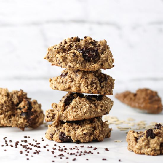 The Healthiest PB Oatmeal Cookies