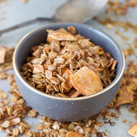 Banana Sunflower Seed Granola