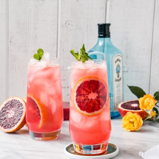 Blood Orange Gin & Tonic