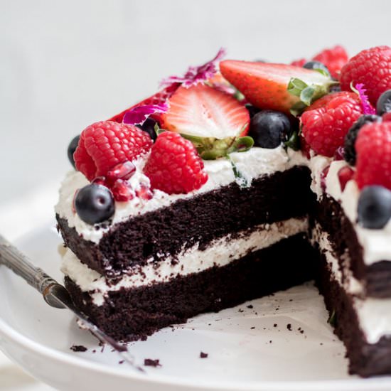 Blender chocolate quinoa cake