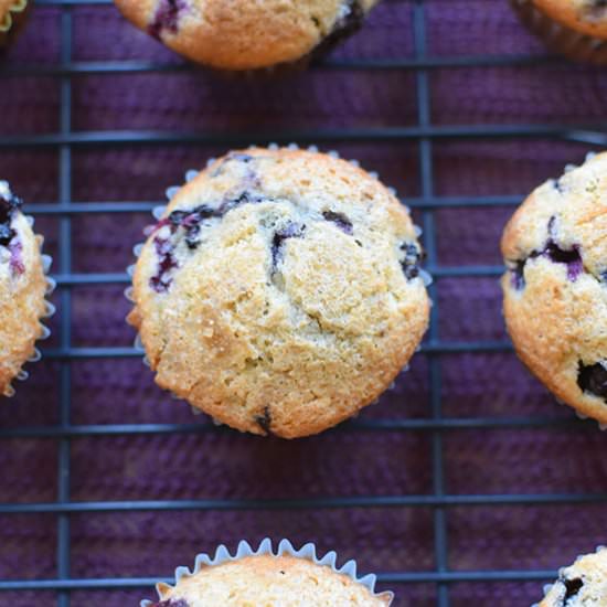 Blueberry Muffins