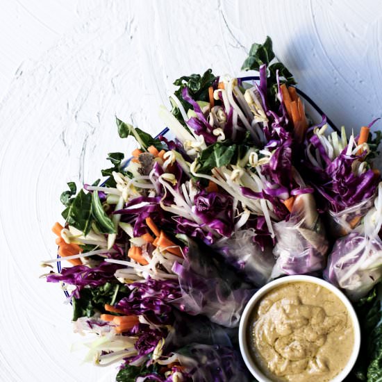 Pork and Apple Rice Paper Rolls
