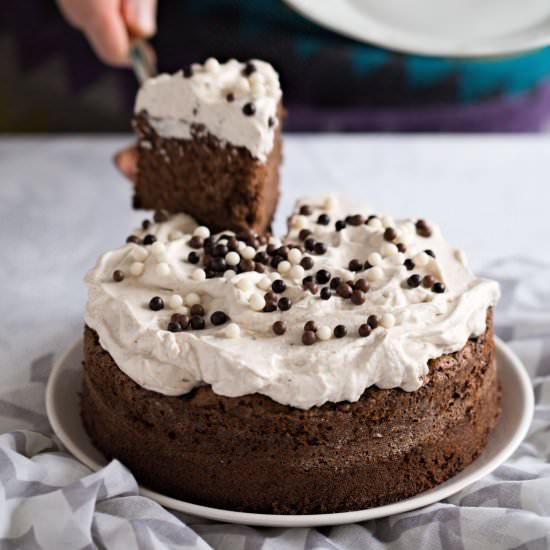 Quick Gluten Free Chocolate Cake