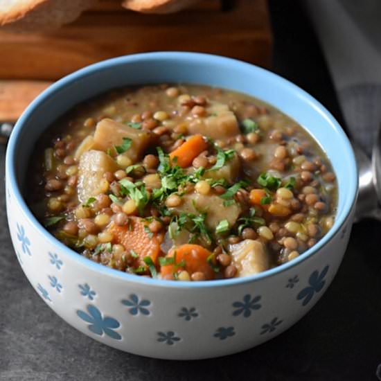 Slow Cooker Lentil Stew Recipe