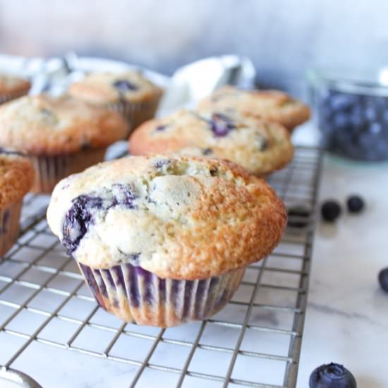 Perfect Blueberry Muffins
