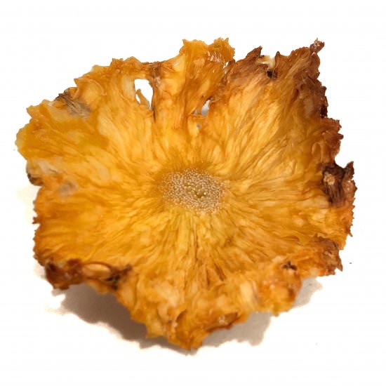 Dried Pineapple Flowers