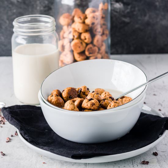 Homemade Vegan Cookie Cereal