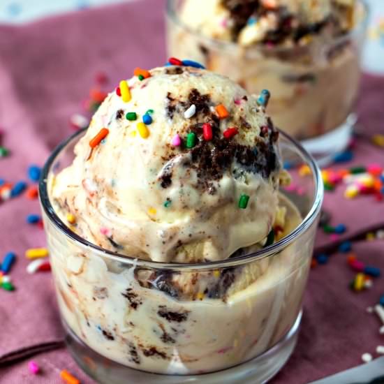 Birthday Cake Remix Ice Cream