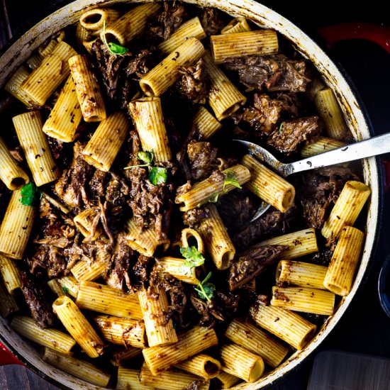 Dark Cocoa + Short Rib Ragu