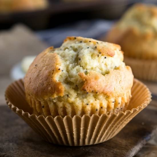Homemade Basic Muffin